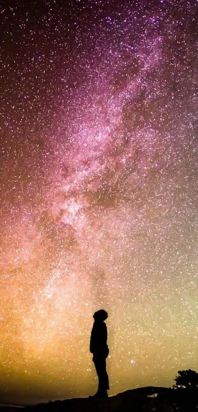 Silhouette against a starry night sky with a purple galaxy backdrop.