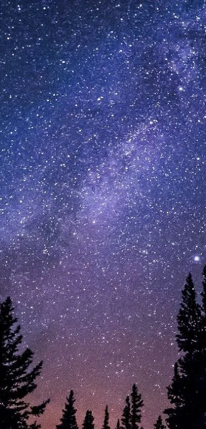 Silhouetted trees under a starry night sky.