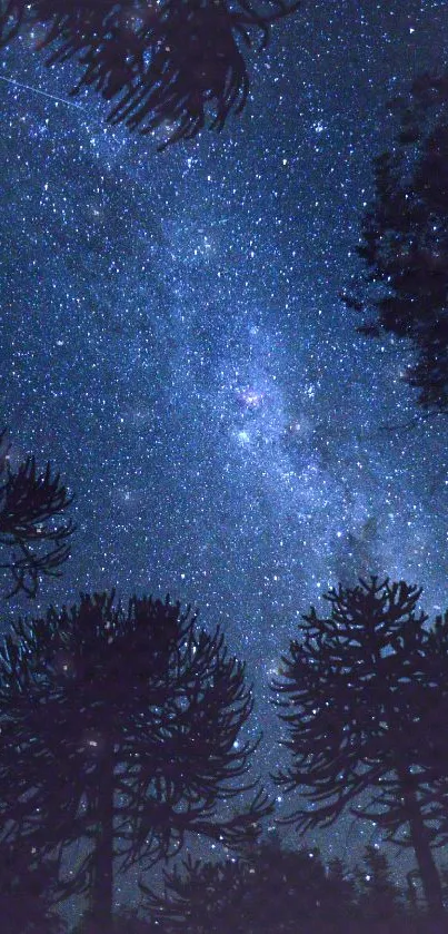 Starry night sky above a silhouetted forest with the Milky Way in view.