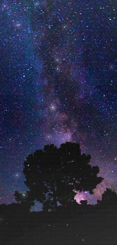 Starry night sky with silhouetted trees and vibrant galaxy hues.