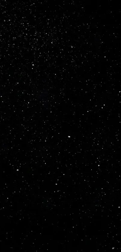 Starry night sky mobile wallpaper with countless sparkling stars.