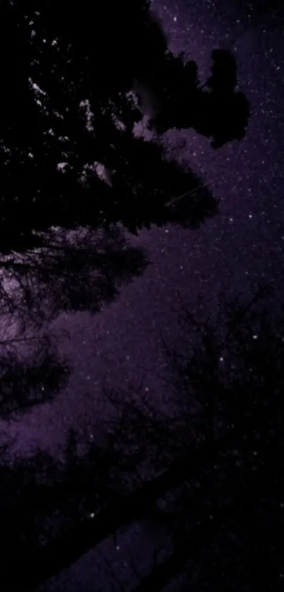 Starry night sky with silhouetted trees and deep purple tones.