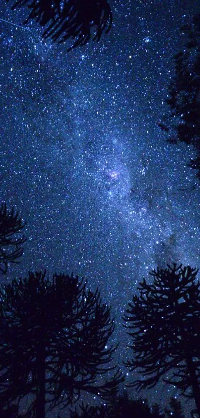 Starry night sky with silhouetted trees and Milky Way galaxy.