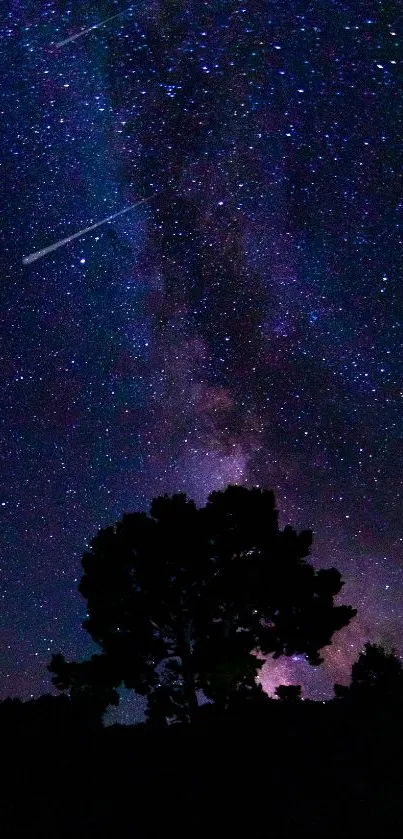 Silhouette under a starry night sky with the Milky Way visible.