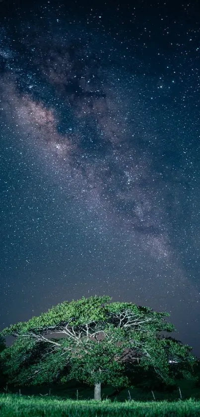 Starry night sky with Milky Way above a tree in nature.