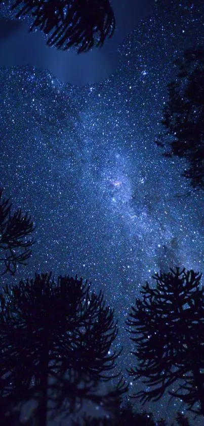 Starry night sky with silhouetted trees