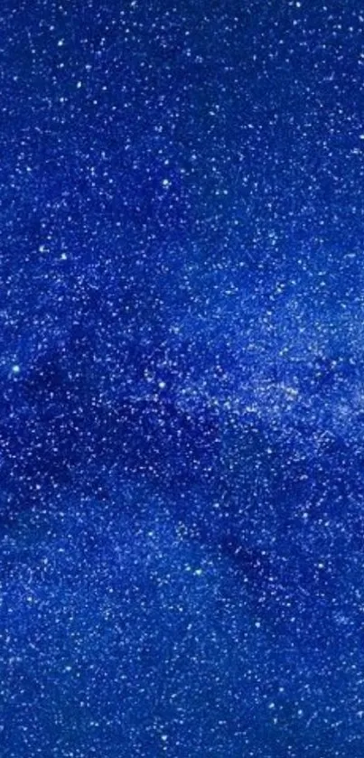 Vivid blue starry night sky wallpaper with sparkling stars.