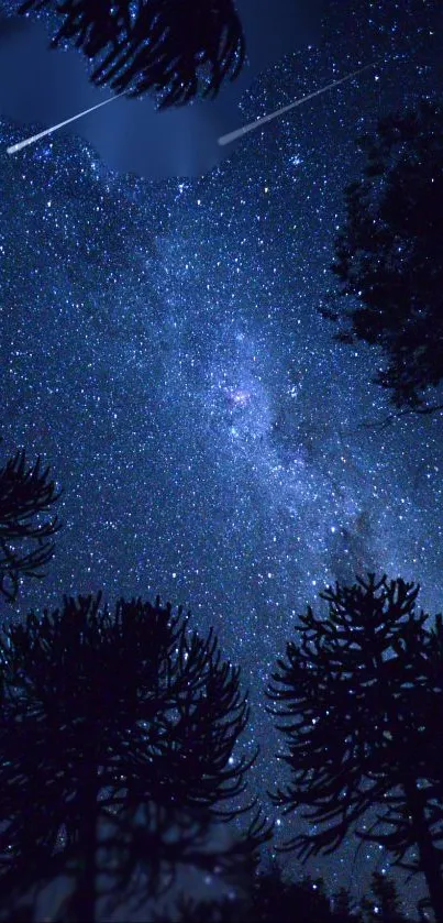 Starry night sky with trees silhouette and shooting stars.