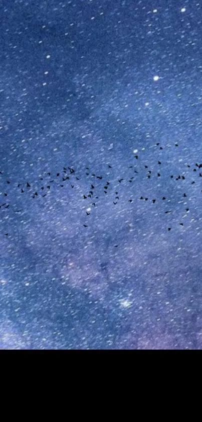 Starry night sky with flying birds.