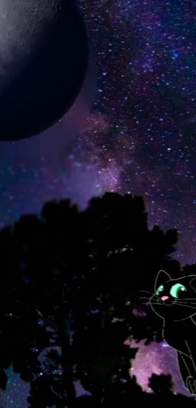 Animated black cat under a starry purple sky with a moon.