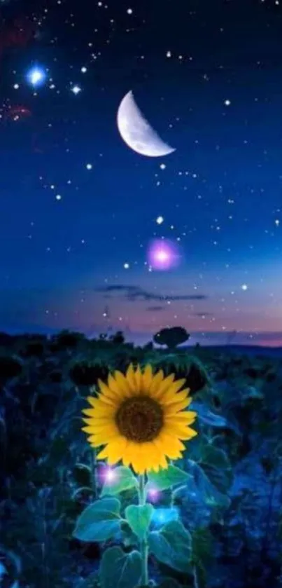 Starry night with a glowing sunflower under the moonlight.