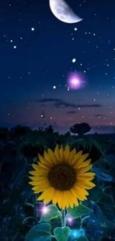 Sunflower under a starry night sky with a crescent moon.