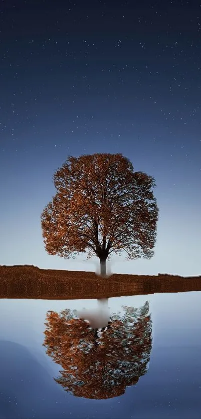 A solitary tree reflected in a lake under a starry night sky.