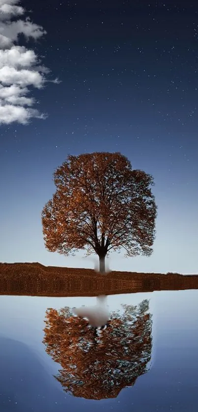 Tree reflected on a lake under a starry night sky with clouds.