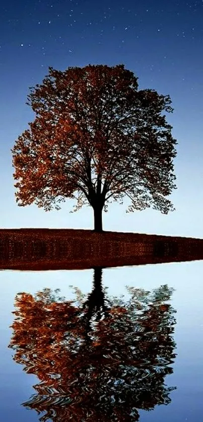 Starry night scene with tree and water reflection.