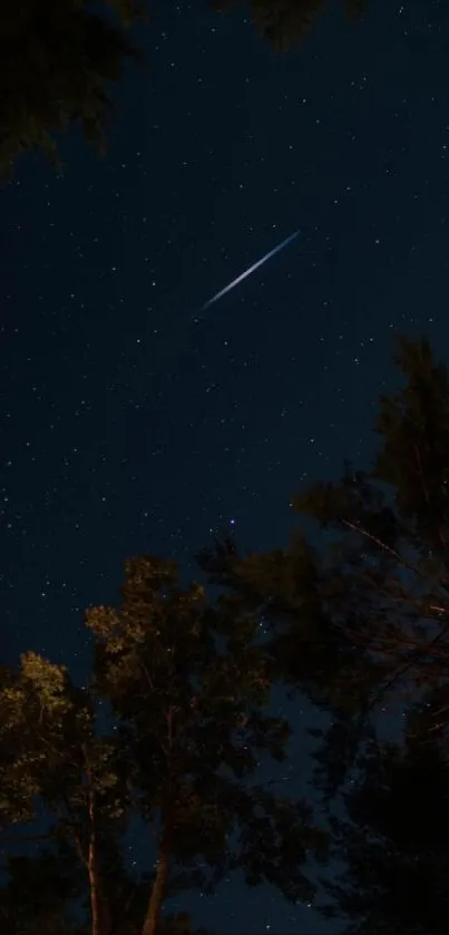 A starry night sky with a shooting star and silhouetted trees.