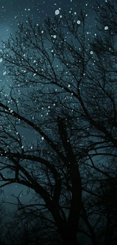 Silhouetted trees under a starry night sky.