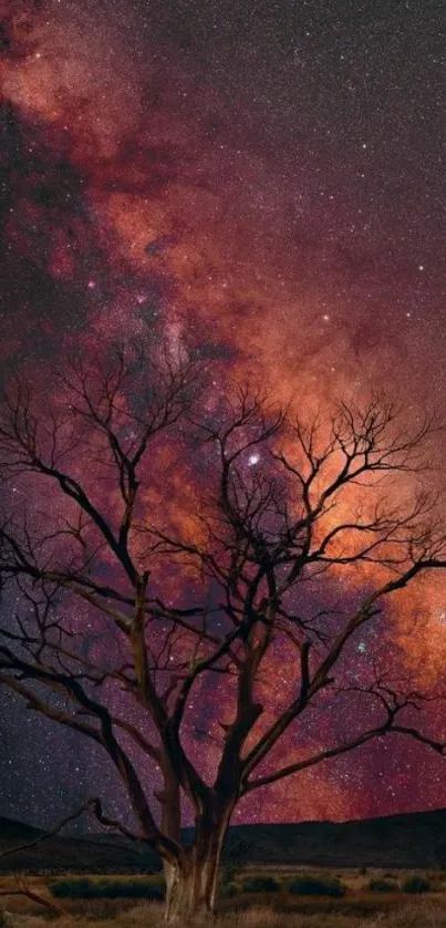 Silhouetted tree with starry night sky and galaxy backdrop.