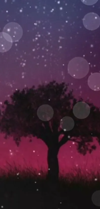 Silhouette of a tree against a starry purple night sky wallpaper.