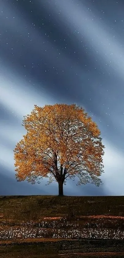 Lone tree under a starry night sky on mobile wallpaper.