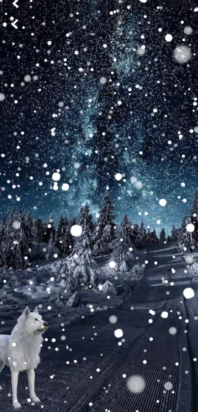 Starry winter night road under a cosmic sky.