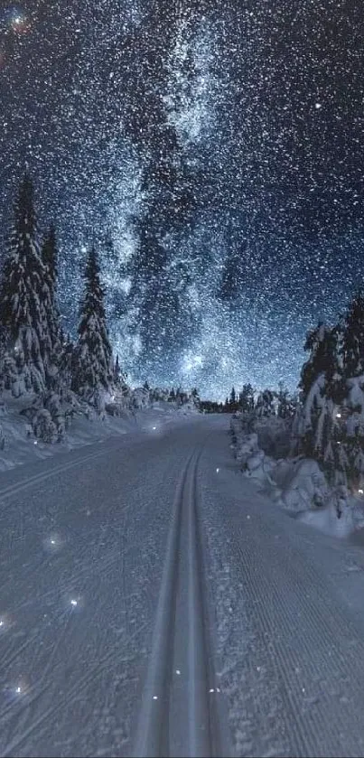 Snowy road under starry night sky with pine trees.