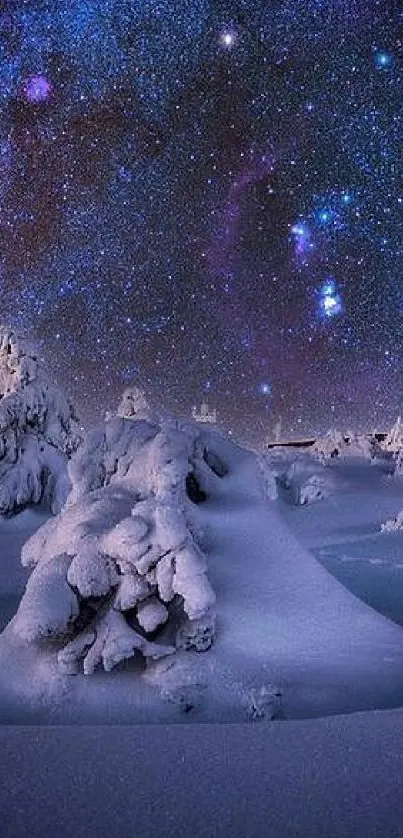 Starry night over snow-covered landscape with trees.