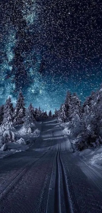 Starry night sky over snow-laden forest path in winter.