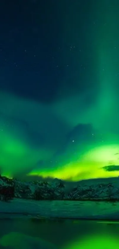 Northern Lights illuminating a snowy mountain landscape under a starry sky.