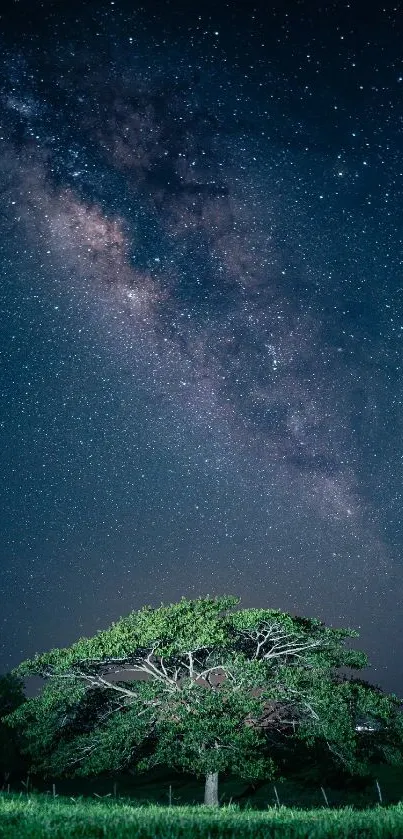 Lone tree under a starry night sky with prominent Milky Way.