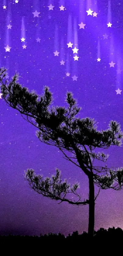 Purple starry sky with a tree silhouette and flashlight beam.