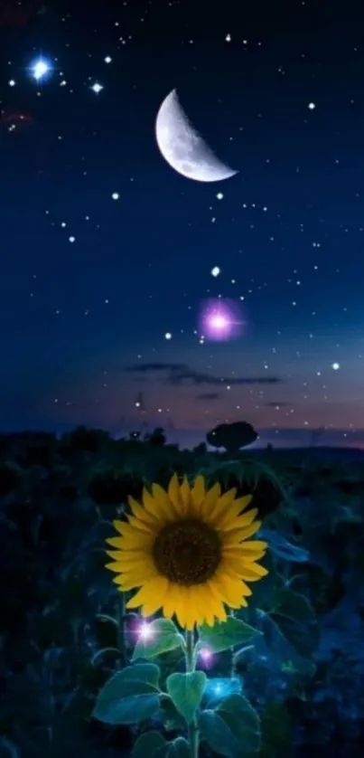 Starry night with a crescent moon and sunflower.