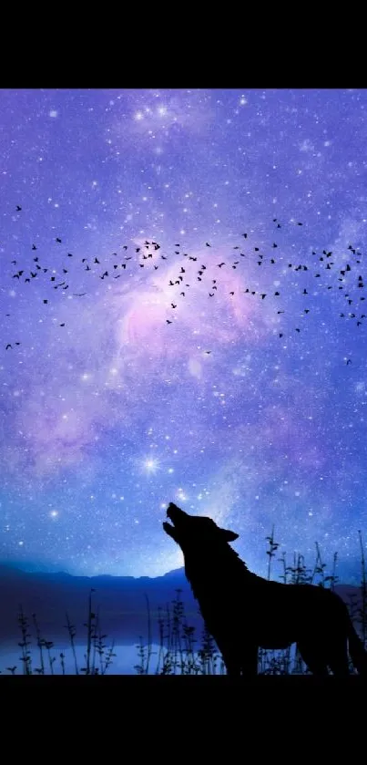 Starry night sky with wolf silhouette and cosmic background.