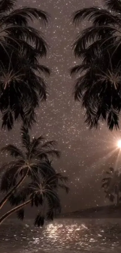 Starry night scene with palm trees against a serene, dark sky.