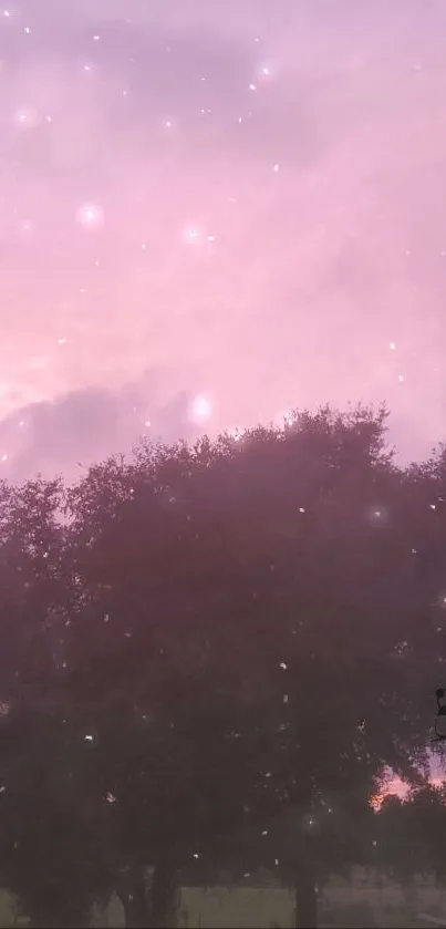 Silhouette of trees under a pink, star-dotted sky.