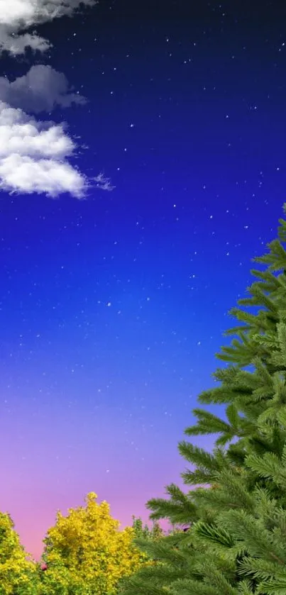 A serene starry sky with a lush pine tree for a mobile wallpaper.