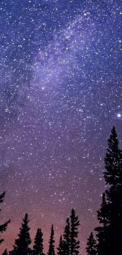 Starry night sky with silhouetted trees and a deep blue hue.