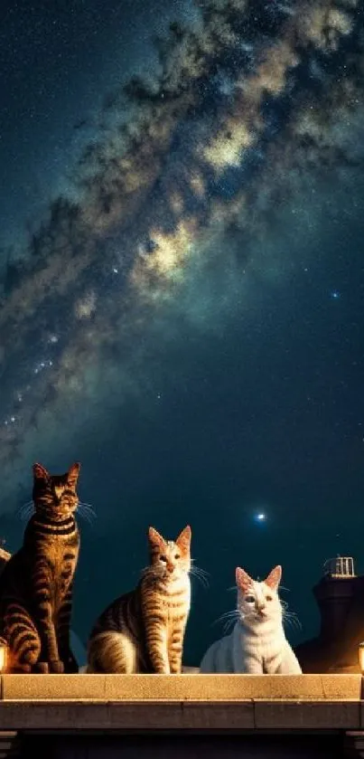 Three cats sit under a starry night sky with a galaxy backdrop.