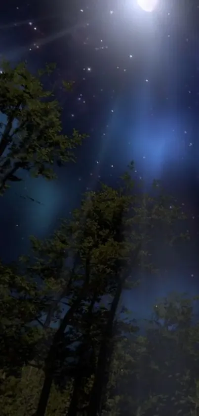 Starry sky above forest trees at night.