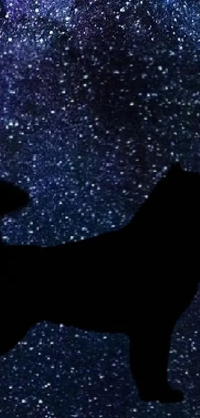 Starry galaxy background with a dog silhouette.