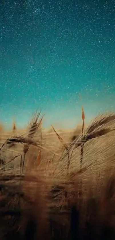 Wheat field under a starry night sky with teal and blue hues.