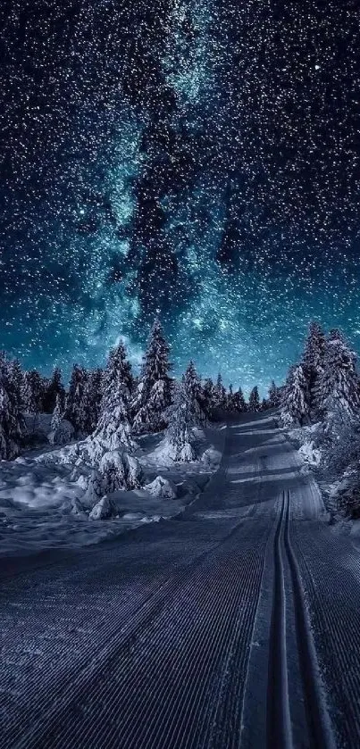 Starry winter night over snowy road and trees.