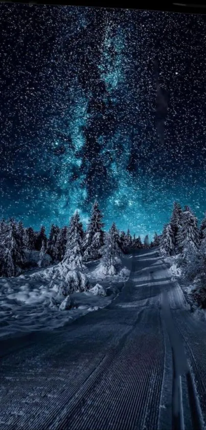 Starry night sky over a snowy winter forest path.