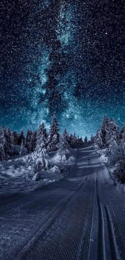 Starry winter night with snowy forest and clear starlit sky.