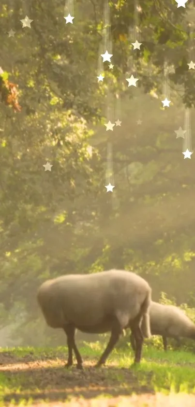 Forest scene with grazing sheep under a starry sky.