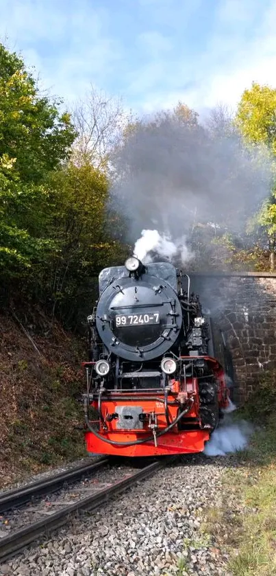 Steam engine train through forest tunnel under blue sky.