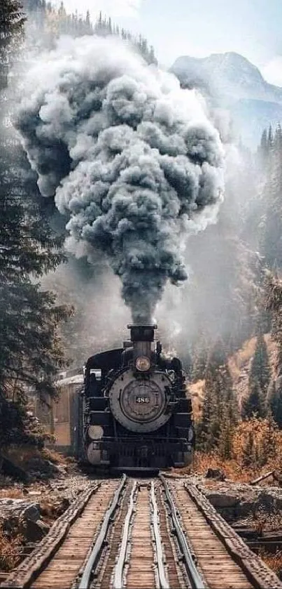 Steam train travels through a mountain landscape with towering pine trees.