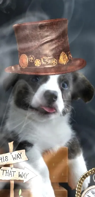 Steampunk puppy with hat and fantasy elements on mobile wallpaper.