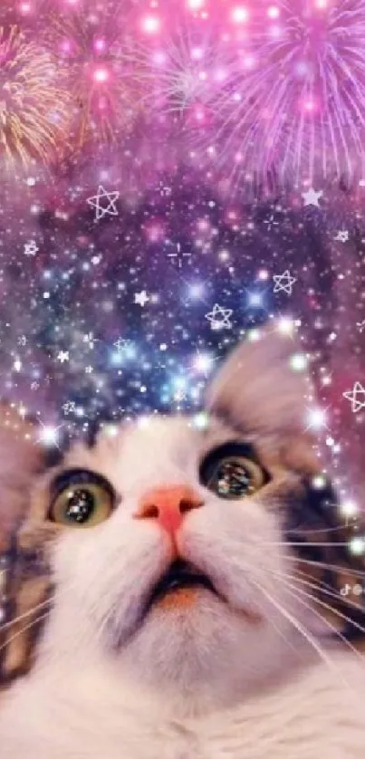 A cat gazes at colorful fireworks and stars in the night sky.