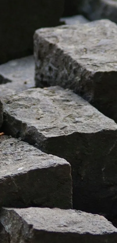 Rugged stone bricks form a rustic textured wall.